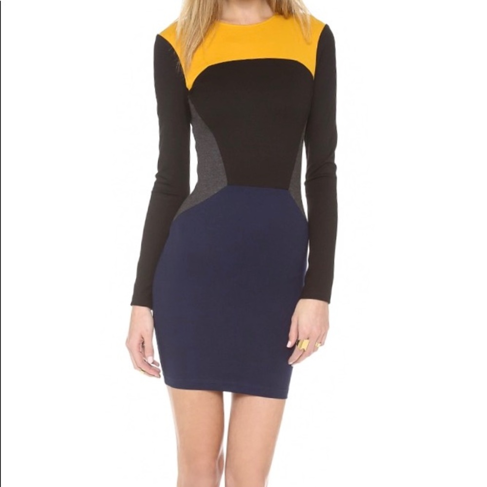 TORN by RONNY KOBO ivy color block dress